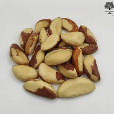 Dried Brazil Nuts - Bertholletia excelsa